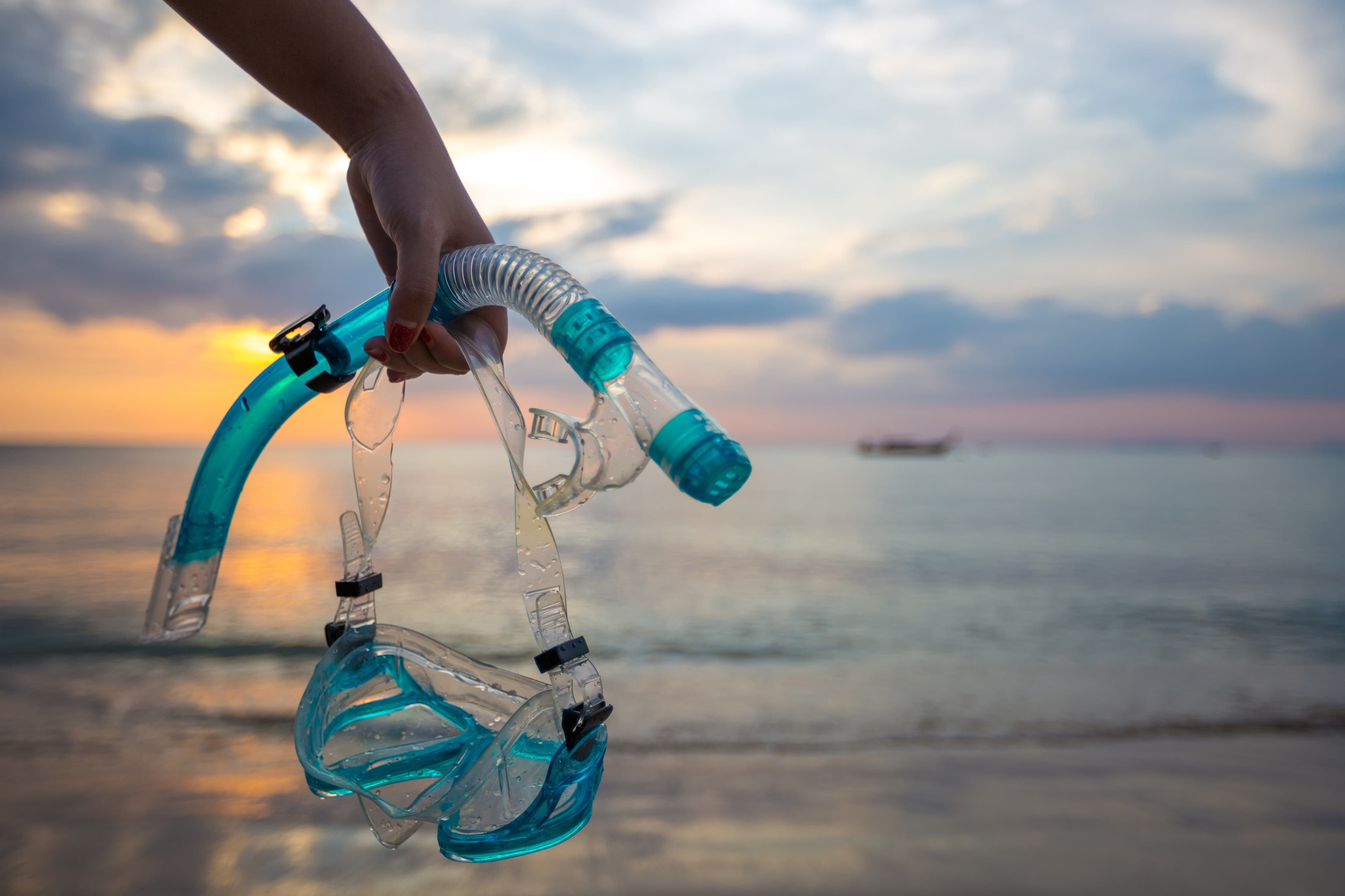 Salida de Buceo con Snorkel en la Reserva Marina de Cabo Tiñoso